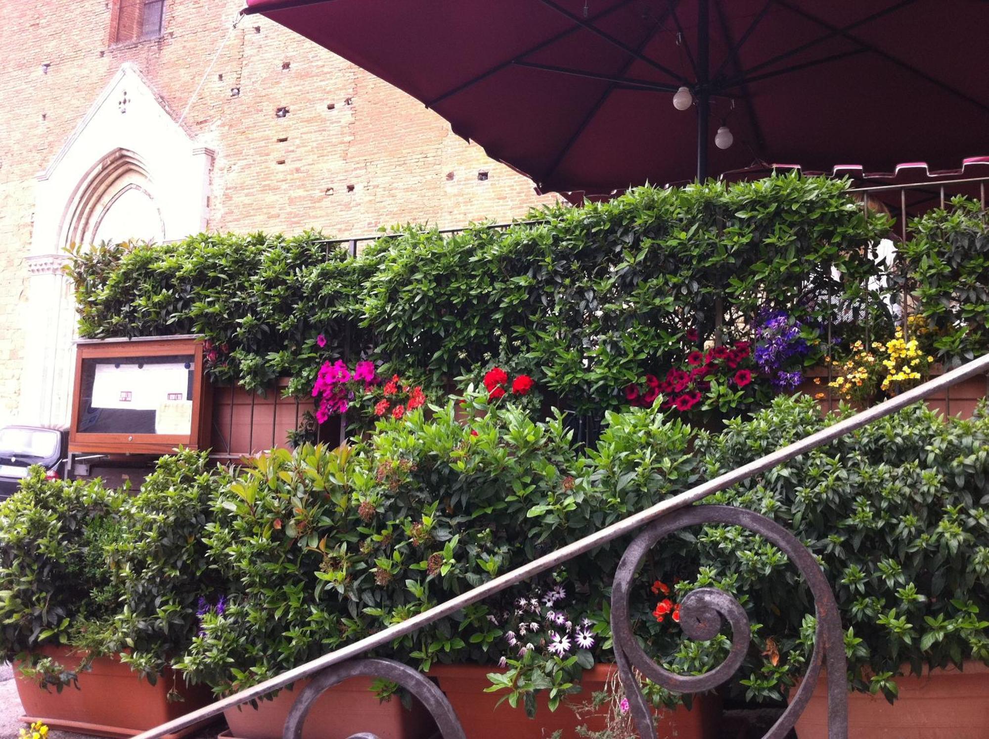 圣弗朗西斯科洛肯德酒店 Montepulciano Stazione 外观 照片